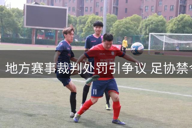 地方赛事裁判处罚引争议 足协禁令合理性存疑
