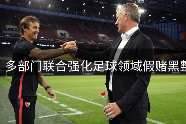 多部门联合强化足球领域假赌黑整治力度