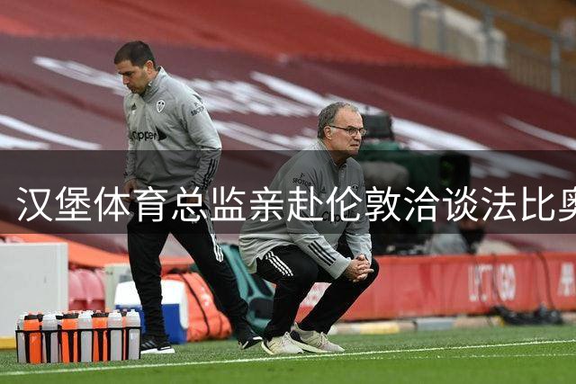 汉堡体育总监亲赴伦敦洽谈法比奥转会事宜